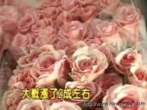 市場預估玫瑰越到情人節會越貴，七夕當天的價格，可能會漲到五成以上，想送花的情侶們，可要有心理準備。